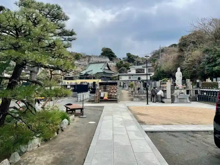 勧行寺の{uncategorized: "未分類", other: "その他", undefined: "問題あり", building: "その他建物", grave: "お墓", sacred_gate: "鳥居", guardian: "狛犬", statue: "像", buddha: "仏像", history: "歴史", nature: "自然", garden: "庭園", animal: "動物", pagoda: "塔", temizu: "手水舎", mountain_gate: "山門・神門", sanctuary: "本殿・本堂", subordinate: "末社・摂社", art: "芸術", scenery: "景色", jizo: "地蔵", ema: "絵馬", goshuin: "御朱印", omikuji: "おみくじ", items: "授与品その他", amulet: "お守り", goshuincho: "御朱印帳", eats: "食事", festival: "お祭り", votive_dance: "神楽", shichigosan: "七五三参", wedding: "結婚式", experience: "体験その他", initially: "初詣", around: "周辺", anti_infection: "感染症対策"}