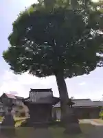 八幡社(富山県)