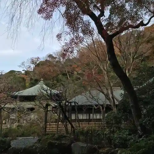 瑞泉寺の庭園