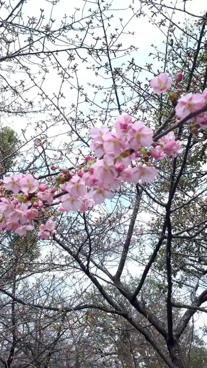 東寺(教王護国寺)(京都府)