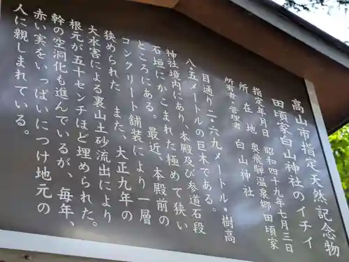 白山神社(岐阜県)
