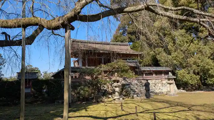 醍醐寺(京都府)
