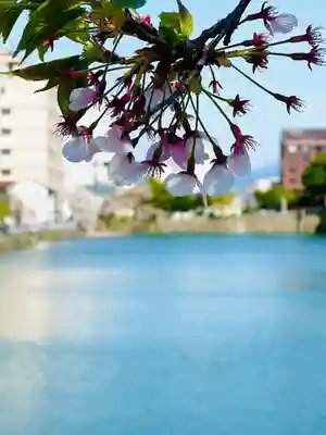 福井神社(福井県)