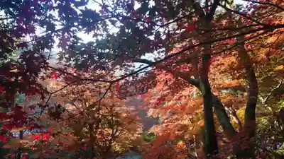 室生寺(奈良県)