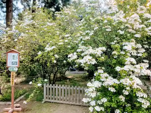 唐招提寺の庭園