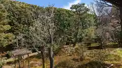 宝鏡寺(京都府)