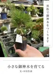 代沢稲荷(東京都)(2025年04月20日(日) 19時53分30秒投稿)