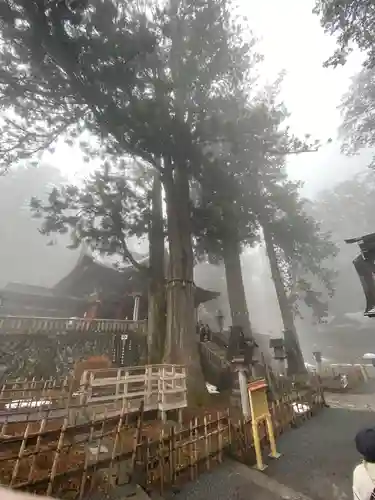 三峯神社(埼玉県)