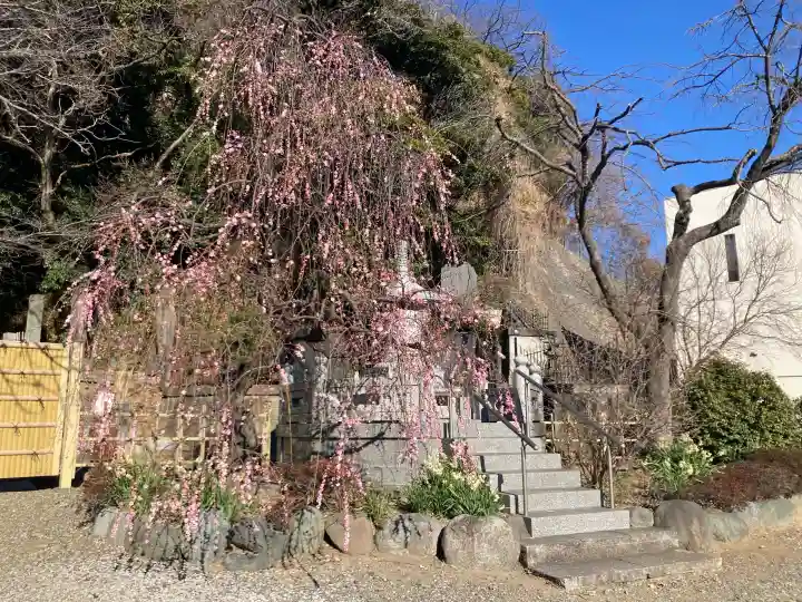 東福寺の{uncategorized: "未分類", other: "その他", undefined: "問題あり", building: "その他建物", grave: "お墓", sacred_gate: "鳥居", guardian: "狛犬", statue: "像", buddha: "仏像", history: "歴史", nature: "自然", garden: "庭園", animal: "動物", pagoda: "塔", temizu: "手水舎", mountain_gate: "山門・神門", sanctuary: "本殿・本堂", subordinate: "末社・摂社", art: "芸術", scenery: "景色", jizo: "地蔵", ema: "絵馬", goshuin: "御朱印", omikuji: "おみくじ", items: "授与品その他", amulet: "お守り", goshuincho: "御朱印帳", eats: "食事", festival: "お祭り", votive_dance: "神楽", shichigosan: "七五三参", wedding: "結婚式", experience: "体験その他", initially: "初詣", around: "周辺", anti_infection: "感染症対策"}
