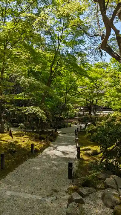 圓光寺(京都府)