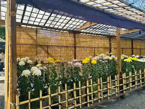 靖國神社(東京都)