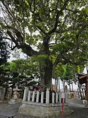 西宮八幡宮(山口県)