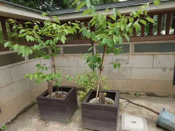 戸越八幡神社(東京都)