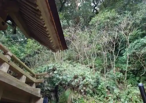 出雲大社(島根県)