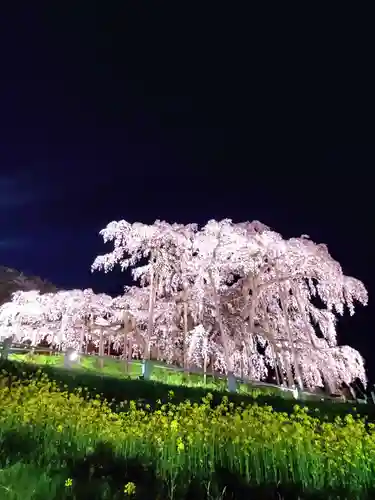 瀧桜神明宮(福島県)