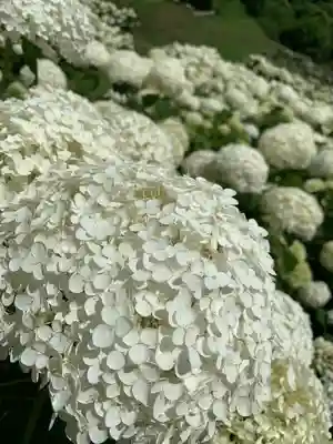 陽林寺(福島県)