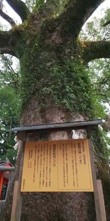 熊野那智大社の自然