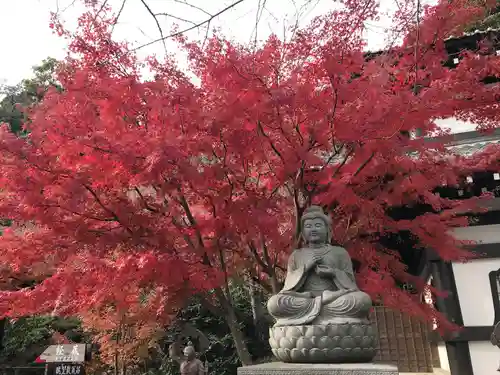 長谷寺の仏像