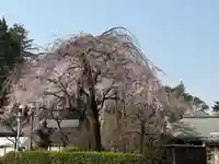 喜多院(埼玉県)