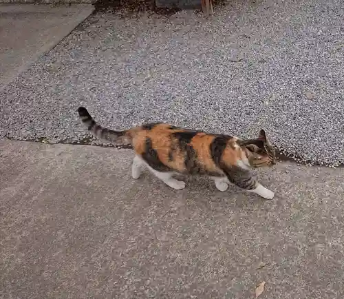 前玉神社(埼玉県)