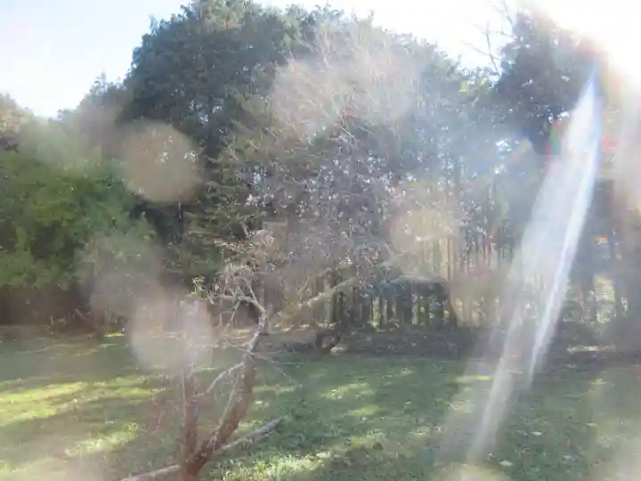 真福寺(埼玉県)