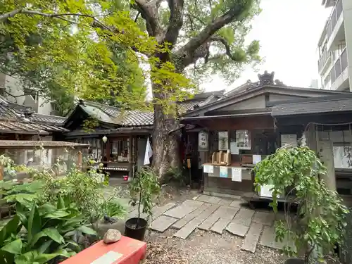 若一神社(京都府)