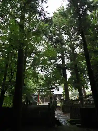 一宮神社の鳥居