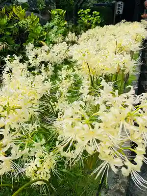 横浜　西方寺(神奈川県)