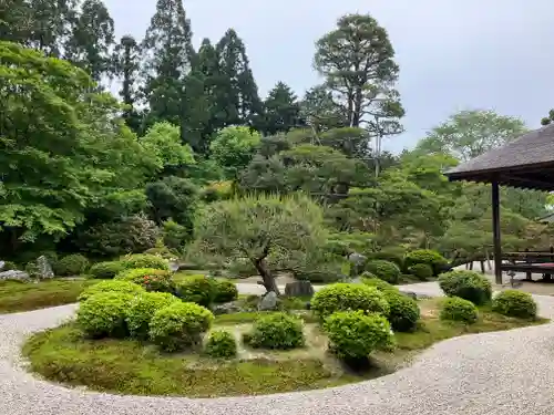 曼殊院門跡の庭園