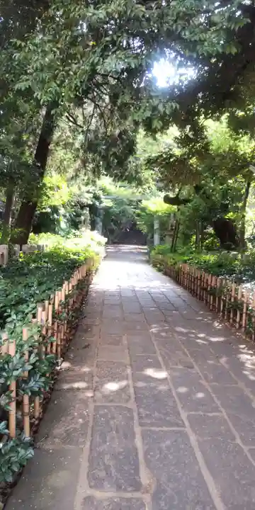 赤坂氷川神社(東京都)