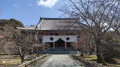  智積院の本殿・本堂