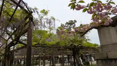 葛井寺(大阪府)