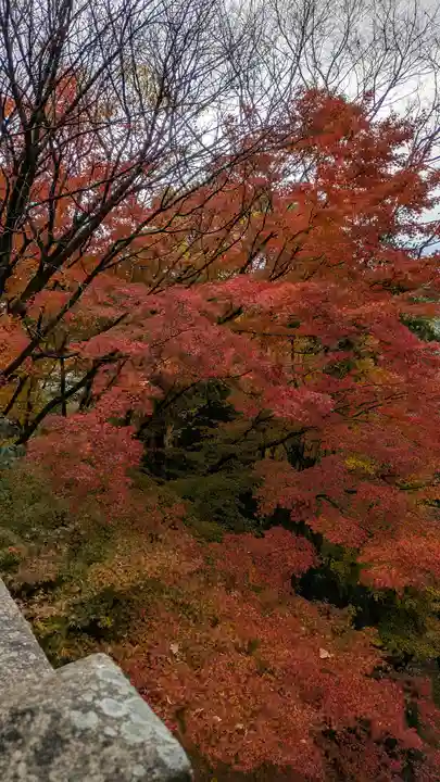観音寺(山崎聖天)(京都府)