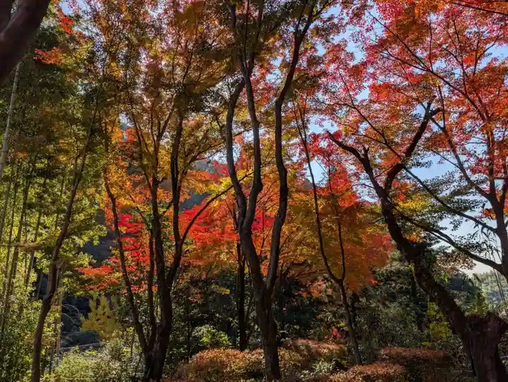 内々神社(愛知県)