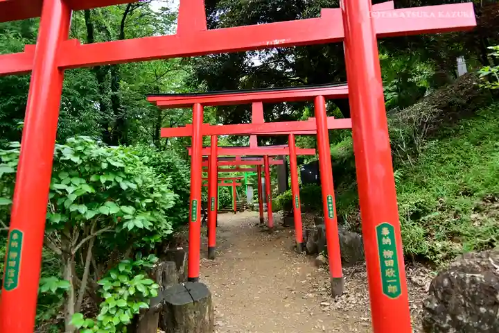 足利織姫神社の鳥居