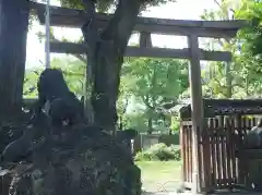 牛嶋神社の鳥居