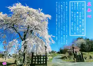 長徳寺の山門・神門(2021年04月11日(日) 11時52分58秒投稿)