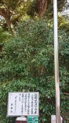 息栖神社のその他建物