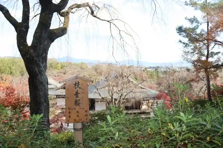 天龍寺(京都府)