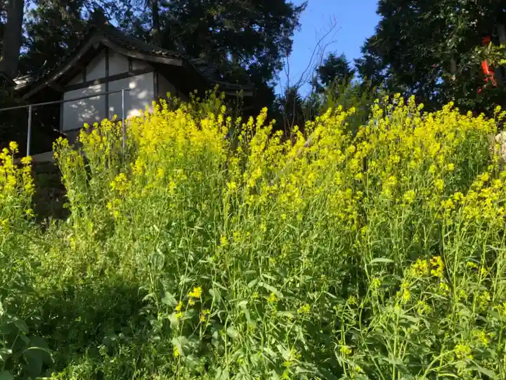 桜実神社の自然