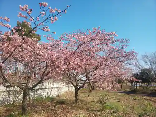 尾曳稲荷神社の自然