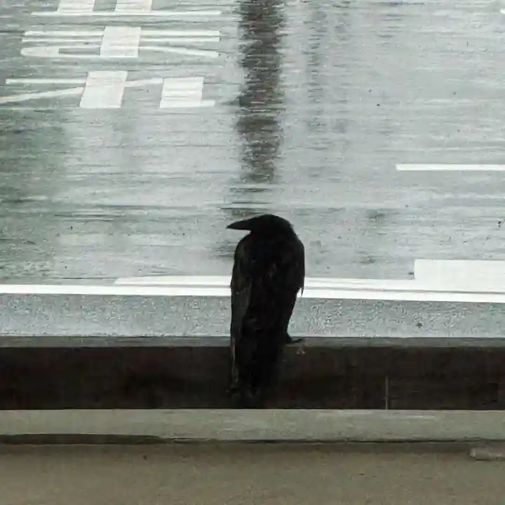 伊勢の国 四天王寺(三重県)