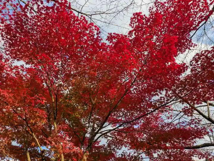華厳寺(岐阜県)