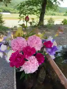 高司神社〜むすびの神の鎮まる社〜(福島県)(2023年05月27日(土) 12時42分27秒投稿)