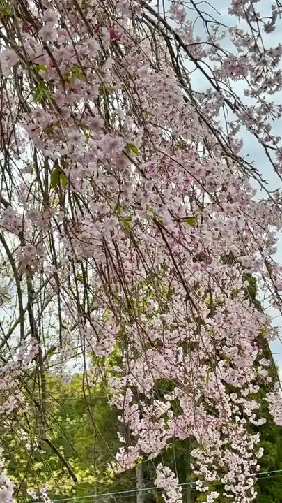 宝泉寺(京都府)