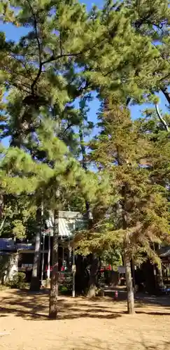 諏訪神社の自然