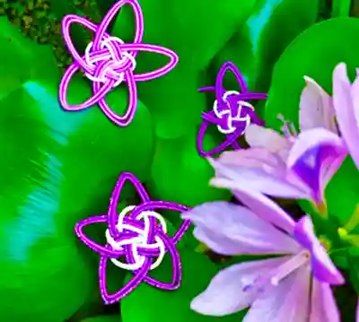 早稲田神社(広島県)