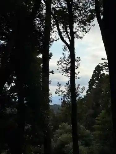 鞍馬寺の{uncategorized: "未分類", other: "その他", undefined: "問題あり", building: "その他建物", grave: "お墓", sacred_gate: "鳥居", guardian: "狛犬", statue: "像", buddha: "仏像", history: "歴史", nature: "自然", garden: "庭園", animal: "動物", pagoda: "塔", temizu: "手水舎", mountain_gate: "山門・神門", sanctuary: "本殿・本堂", subordinate: "末社・摂社", art: "芸術", scenery: "景色", jizo: "地蔵", ema: "絵馬", goshuin: "御朱印", omikuji: "おみくじ", items: "授与品その他", amulet: "お守り", goshuincho: "御朱印帳", eats: "食事", festival: "お祭り", votive_dance: "神楽", shichigosan: "七五三参", wedding: "結婚式", experience: "体験その他", initially: "初詣", around: "周辺", anti_infection: "感染症対策"}