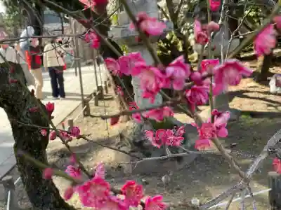 北野天満宮の{uncategorized: "未分類", other: "その他", undefined: "問題あり", building: "その他建物", grave: "お墓", sacred_gate: "鳥居", guardian: "狛犬", statue: "像", buddha: "仏像", history: "歴史", nature: "自然", garden: "庭園", animal: "動物", pagoda: "塔", temizu: "手水舎", mountain_gate: "山門・神門", sanctuary: "本殿・本堂", subordinate: "末社・摂社", art: "芸術", scenery: "景色", jizo: "地蔵", ema: "絵馬", goshuin: "御朱印", omikuji: "おみくじ", items: "授与品その他", amulet: "お守り", goshuincho: "御朱印帳", eats: "食事", festival: "お祭り", votive_dance: "神楽", shichigosan: "七五三参", wedding: "結婚式", experience: "体験その他", initially: "初詣", around: "周辺", anti_infection: "感染症対策"}