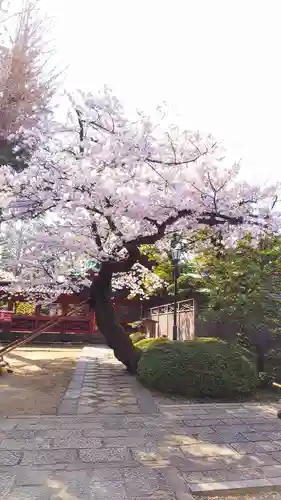 根津神社の庭園